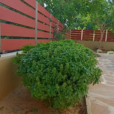 Country Nest 度假居